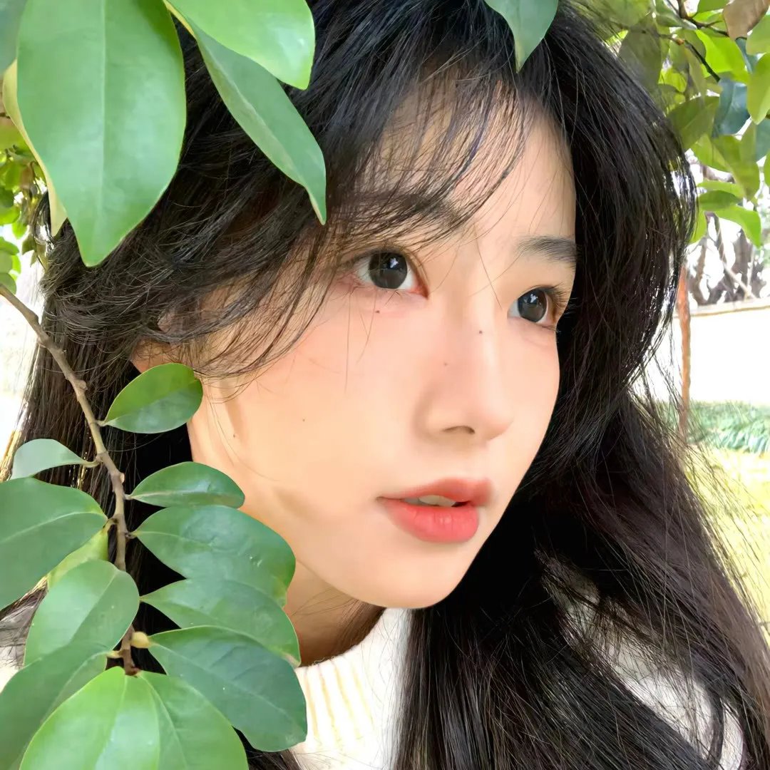 杨六郎智破连环计